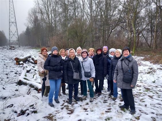 Femma Koersel-Steenveld op borrelwandeling - Beringen