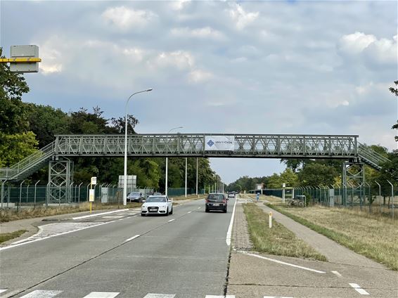 Fiets- en wandelbrug in Kamp van Beverlo - Leopoldsburg