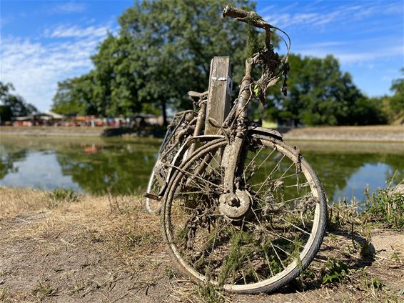 Fiets kiest het droge - Pelt