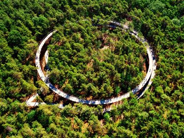 Fietsen door de bomen: eerbetoon aan de mijnwerker - Houthalen-Helchteren & Beringen