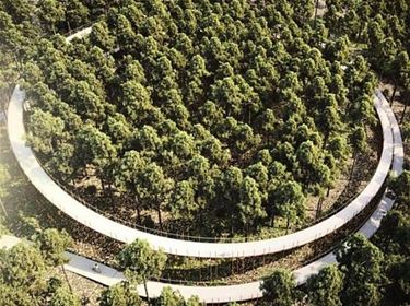 'Fietsen door de bomen' naar Tongers architect - Hechtel-Eksel & Tongeren