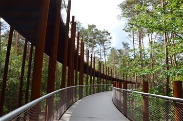 'Fietsen door de Bomen' ingehuldigd - Lommel & Pelt