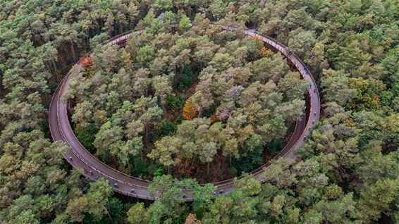 Fietsen door de Bomen Route van het jaar 2025 - Hechtel-Eksel