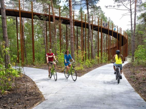 'Fietsen door de bomen' wéér bekroond - Hechtel-Eksel