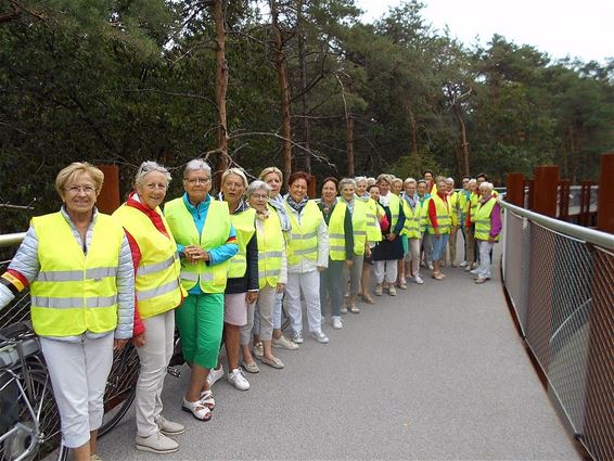 Fietsen naar de bomen - Bocholt