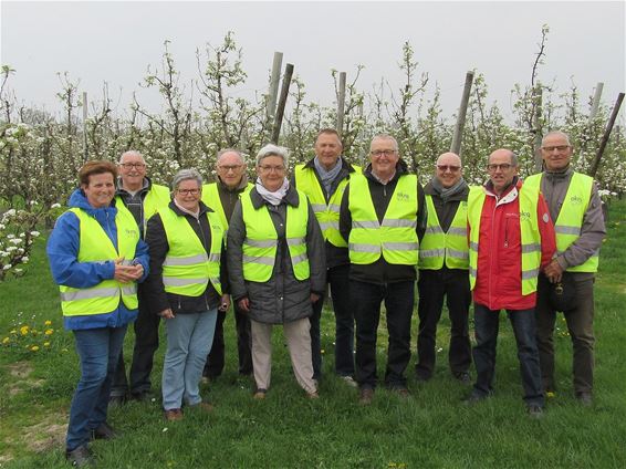 Fietsen tussen de bloesems - Neerpelt