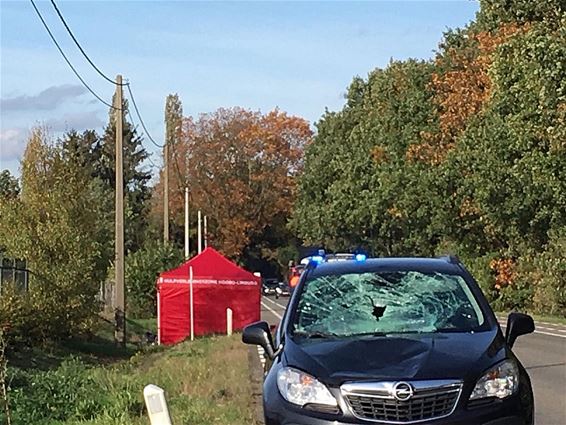 Fietser omgekomen op Napoleonweg - Pelt