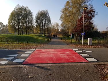 Fietsers krijgen voorrang aan de Paalse Plas - Beringen