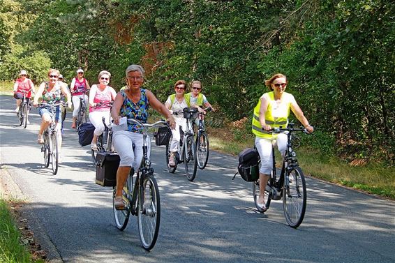 Fietsslinger: dwars door de bossen - Pelt