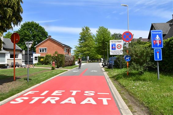 Fietsstraat? Wat is dat meneer? - Beringen