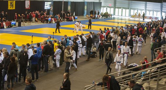 Flanders Judocup in De Soeverein - Lommel