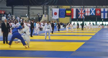 Flanders Judocup Lommel barst uit zijn voegen - Lommel