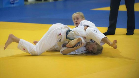 Flanders Judocup weer groot succes - Lommel