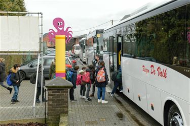 Verbetering busvervoer buitengewoon onderwijs - Beringen