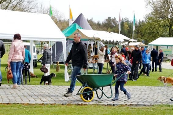 Flora- en Molenfeesten - Lommel