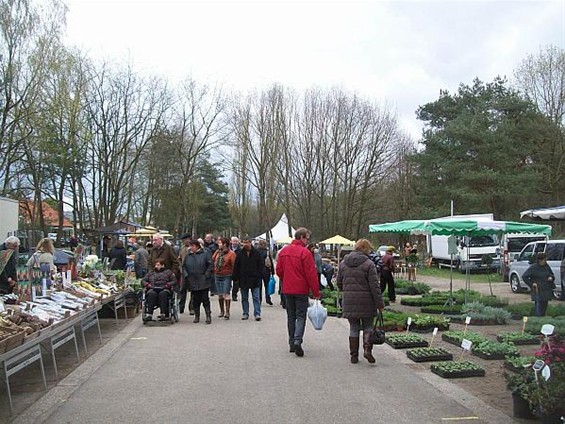 Floramarkt in Kattenbos - Lommel
