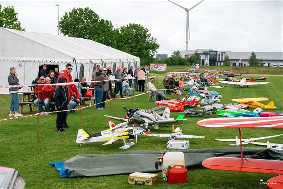 Fly-in brengt luchtvaartspektakel naar Balendijk - Lommel