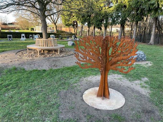 Foetusbomen en urnebossen - Beringen