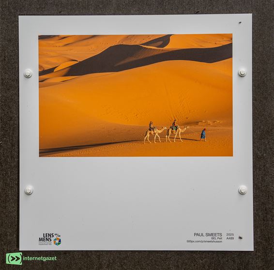 Foto's van Paul Smeets bij Lens op de Mens - Pelt