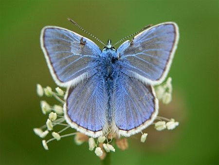 Foto van de dag - Neerpelt