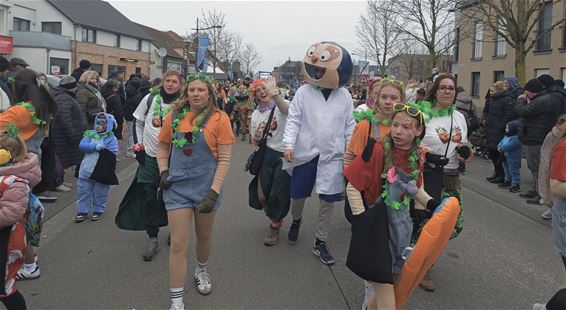 Fotoalbum van carnavalstoet Kaulille staat online - Bocholt