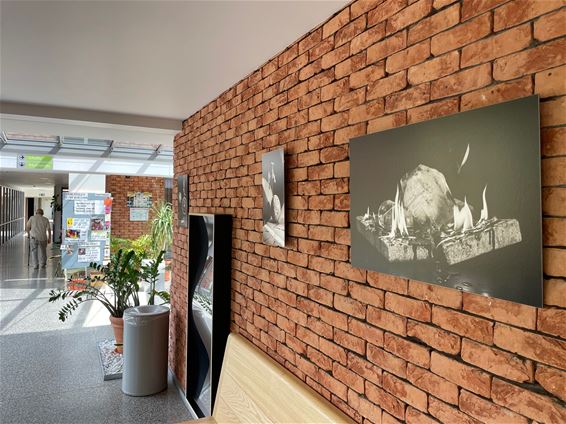 Fotoexpo in Galerij Ocura - Beringen