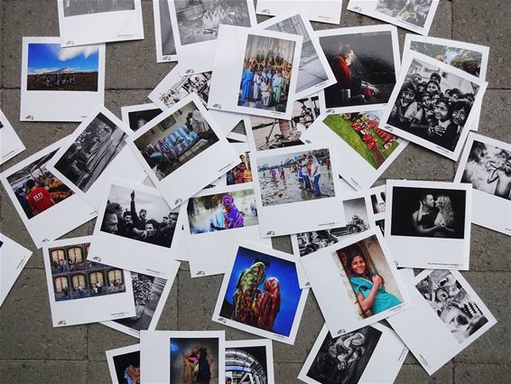 Fotofestival start op 18 juni - Overpelt