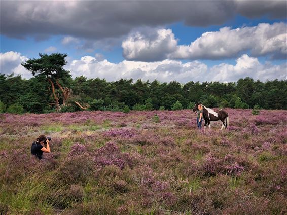 Fotograaf kiekt fotograaf - Lommel