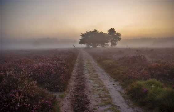 Fotowedstrijd loopt op haar einde - Lommel