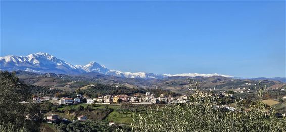 Frank Claes geniet van “de slapende schoonheid” - Pelt