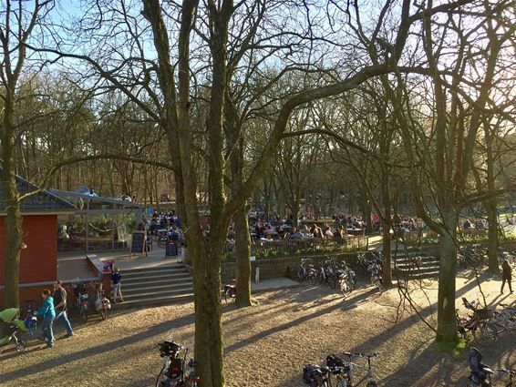 'Full house' aan de Scoutsrally - Neerpelt