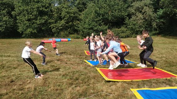 Fun Run vervangt scholenveldloop - Beringen