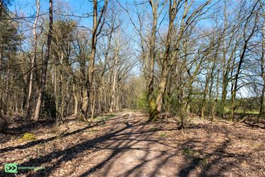 Ga je mee winterwonderwandelen? - Oudsbergen