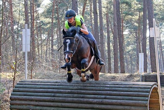 Ga kijken naar de eventing! - Overpelt