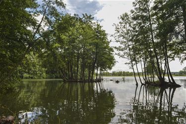 Ganzeneilanden Paalse Plas geruimd - Beringen