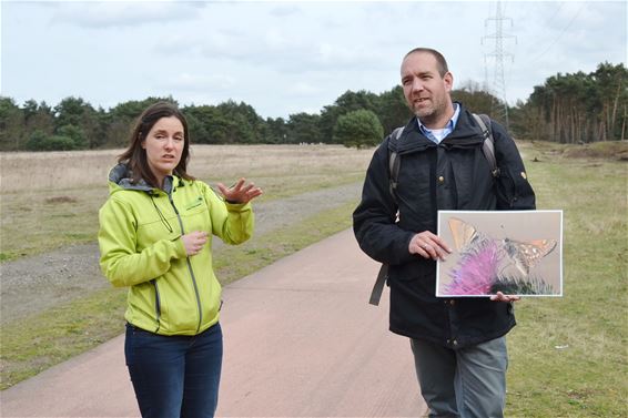 Garanties voor behoud van zeldzame kommavlinder - Lommel