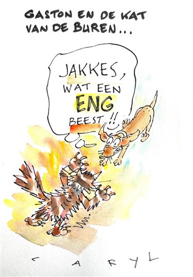 Pelt - Gaston - 6 oktober '26