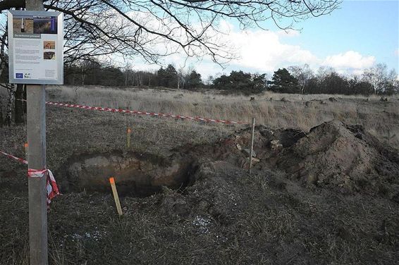 Gat wacht op paal - Neerpelt