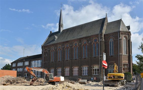 Gauw bekijken voor ze weer achter stenen verdwijnt - Neerpelt