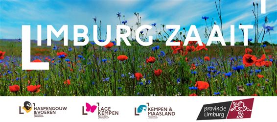 Bree - Geef jouw buurt een kleurrijke upgrade