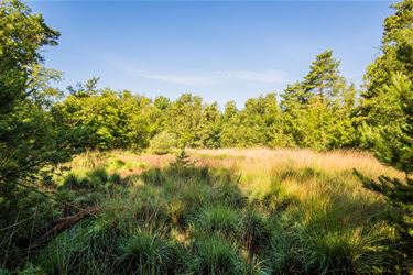 Geen bedrijven in Groene Delle