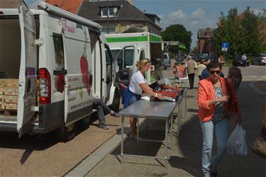 Geen boerenmarkt in Beringen - Beringen