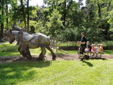 Geen ‚Dag van het Park’ meer - Beringen
