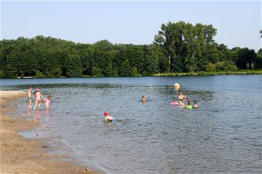 Geen gevaar voor blauwalgen in zwem- en surfzone - Beringen