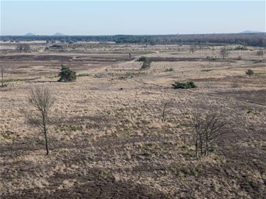 Geen jacht meer op militair domein?