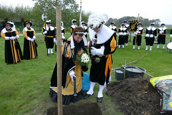 Geen koningsboom op een appartement - Neerpelt