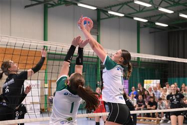 Geen winst, wel foto's voor volleybalmeisjes - Hamont-Achel