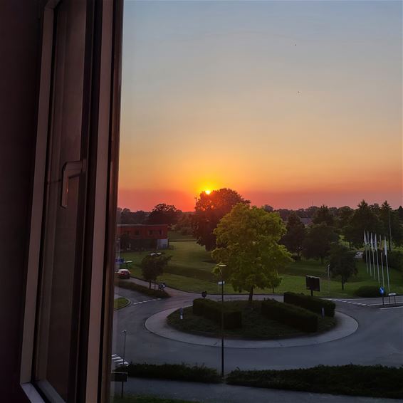 Geen wolken, maar welk een wolk van een... - Pelt
