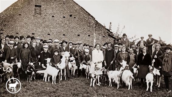 Bree - Geitenmerret viert 75ste editie
