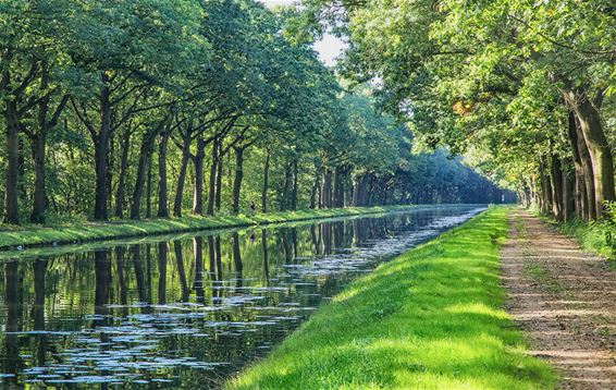 Gelderhorsten in september - Lommel